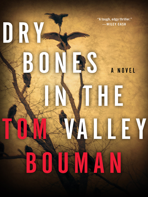 Title details for Dry Bones in the Valley by Tom Bouman - Available